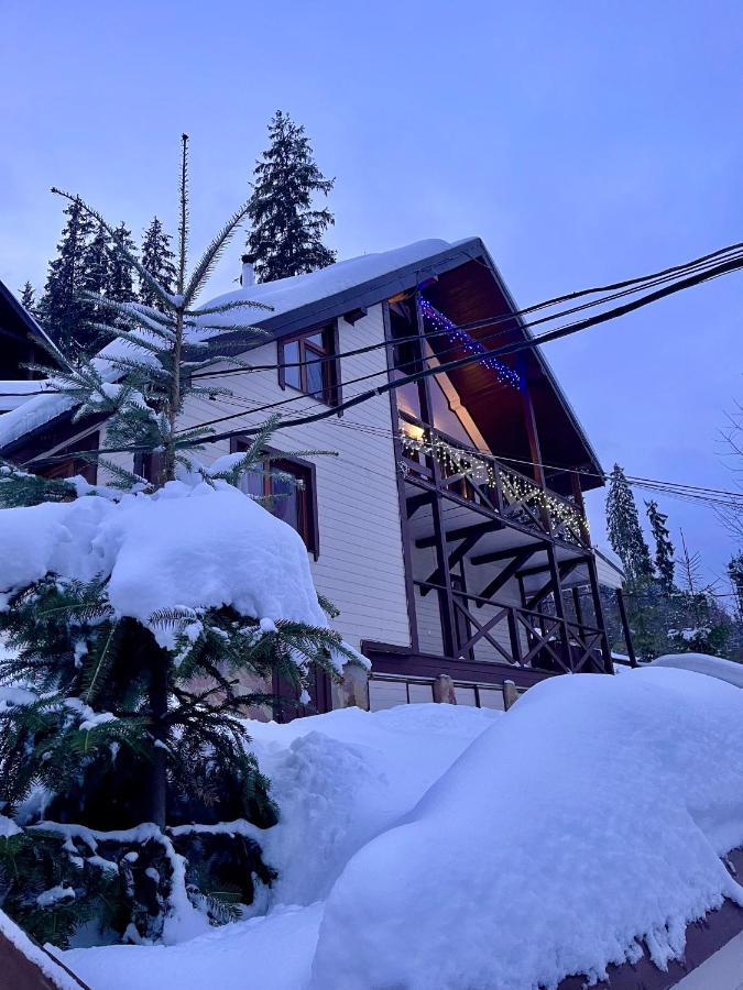 Котедж Chalet Adriana Bukovel Exterior foto